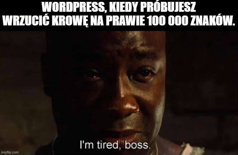 mem wordpress zmęczony