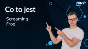 Screaming Frog: Jak Ulepszyć SEO? Poradnik i Audyt